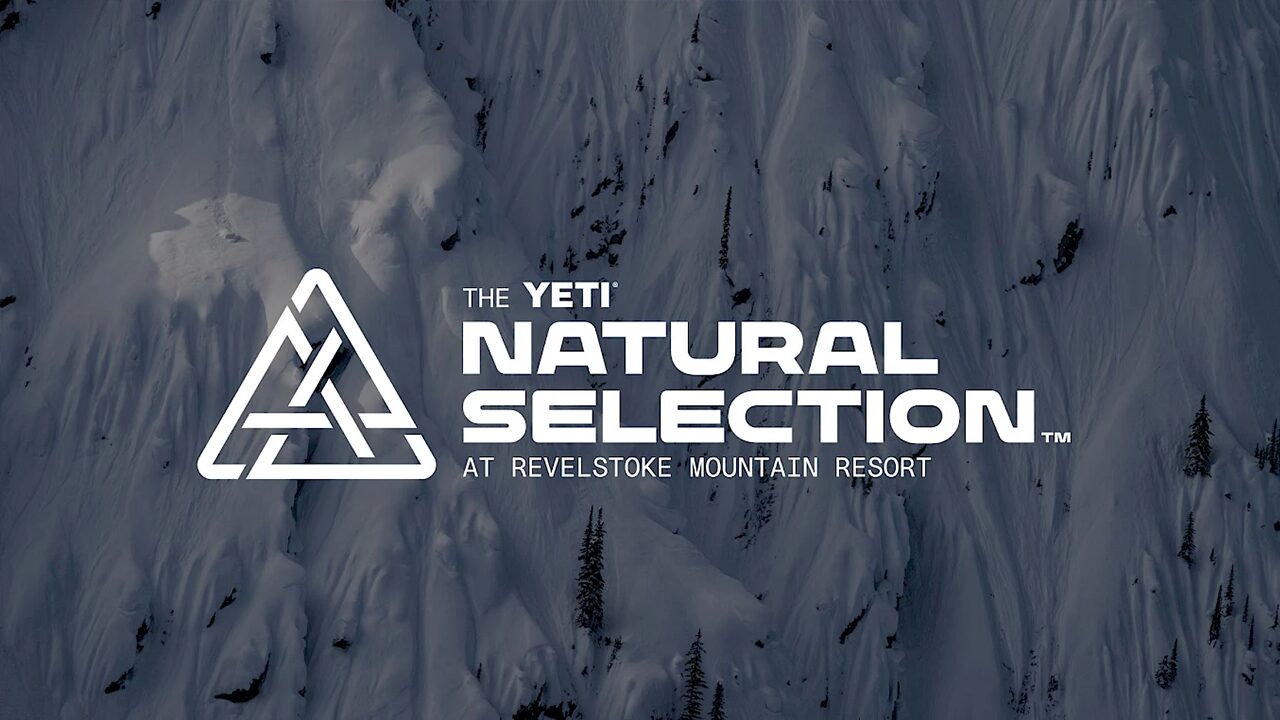 Natural Selection