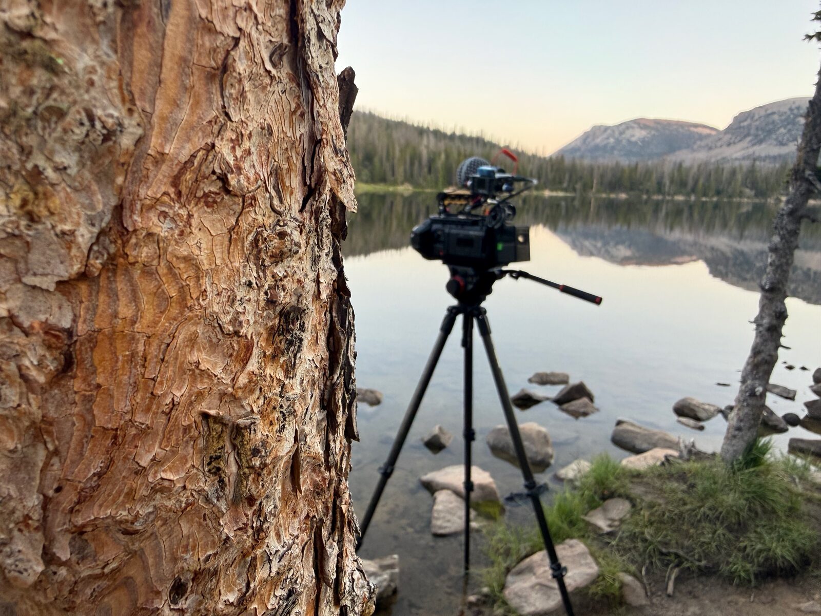 The Blackmagic URSA Cine Immersive on location, photo 11 of 18