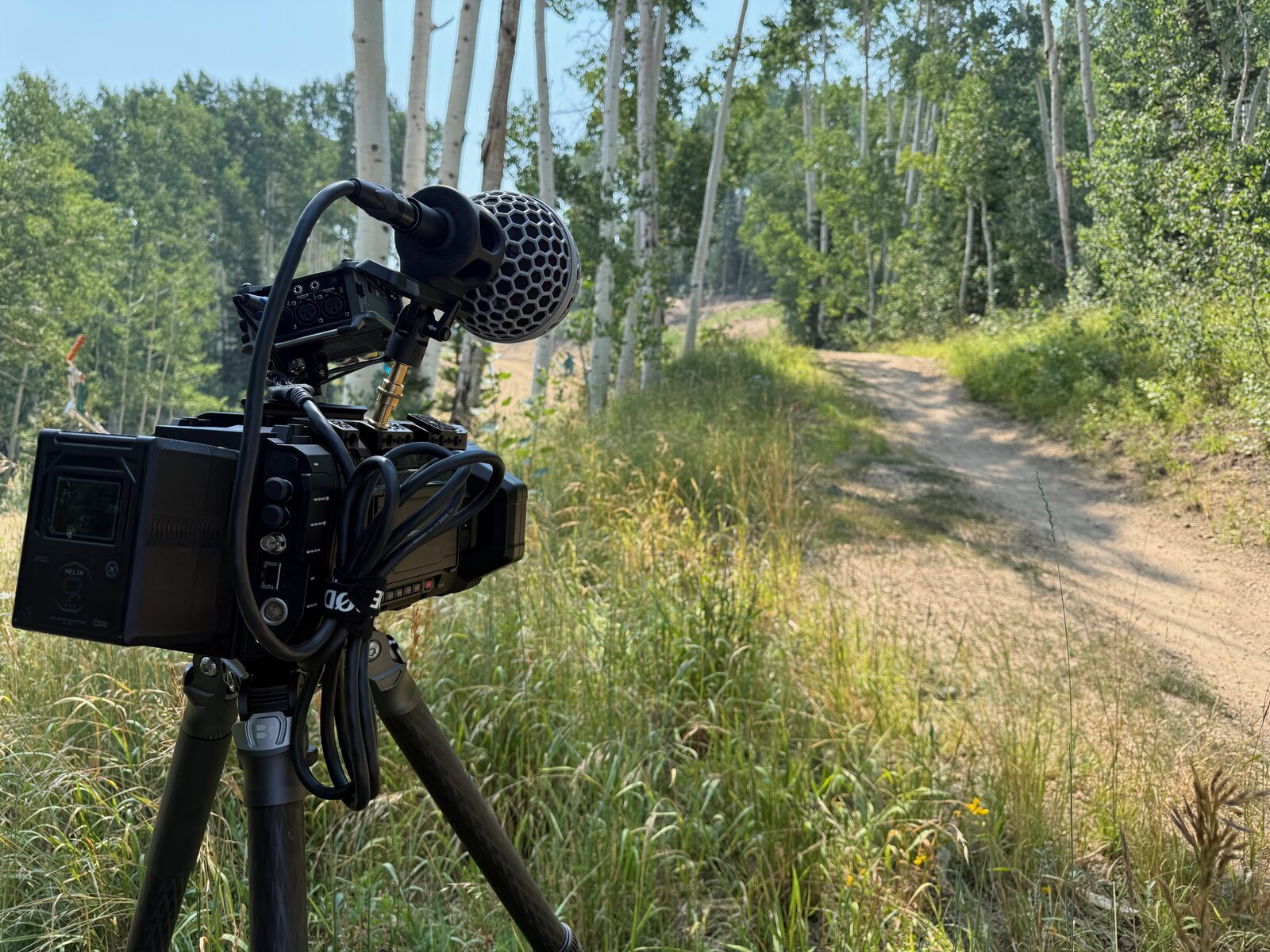The Blackmagic URSA Cine Immersive on location, photo 5 of 18